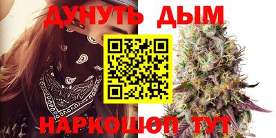 индика Заволжье