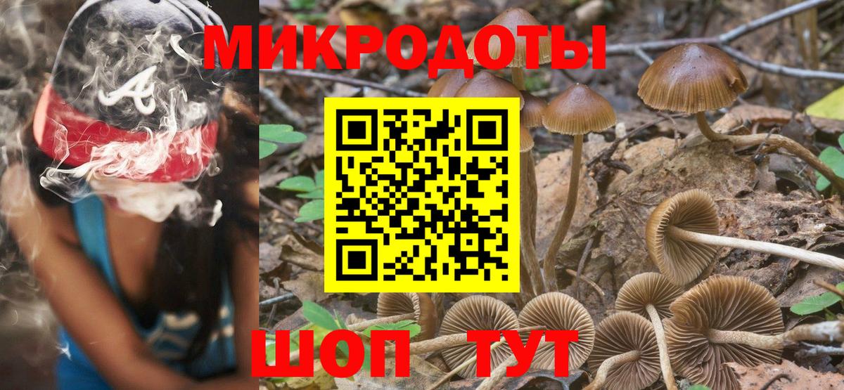 Псилоцибиновые грибы ЛСД Сунжа