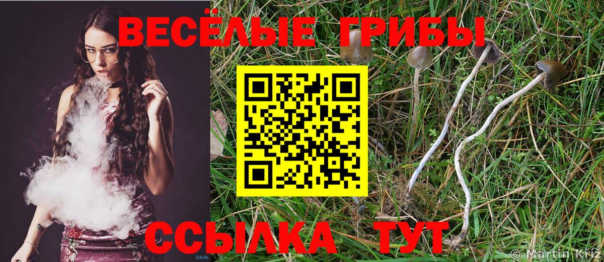 Псилоцибиновые грибы Magic Shrooms Сунжа