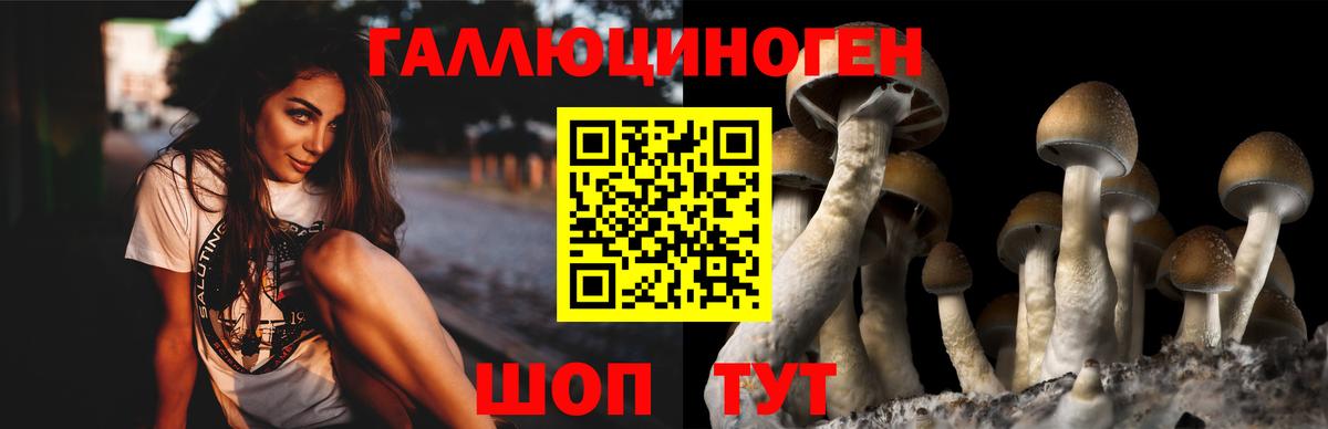 Сунжа  закладка  Вход с VPN  Галлюциногенные грибы GOLDEN TEACHER 